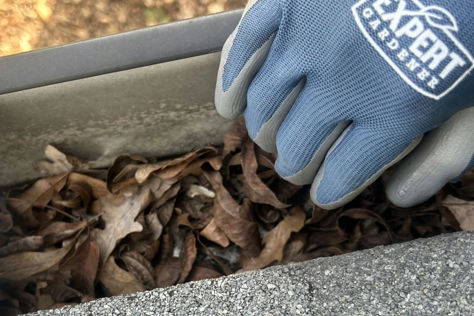 Gutter Cleaning Hunters Creek Village, TX